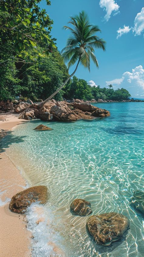 Beach Travel